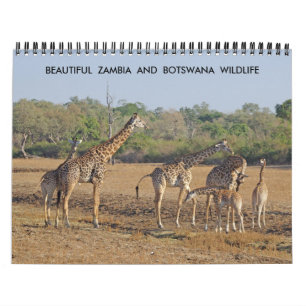 LINDO CALENDÁRIO DE VIDA SELVAGEM DA ZÂMBIA E BO
