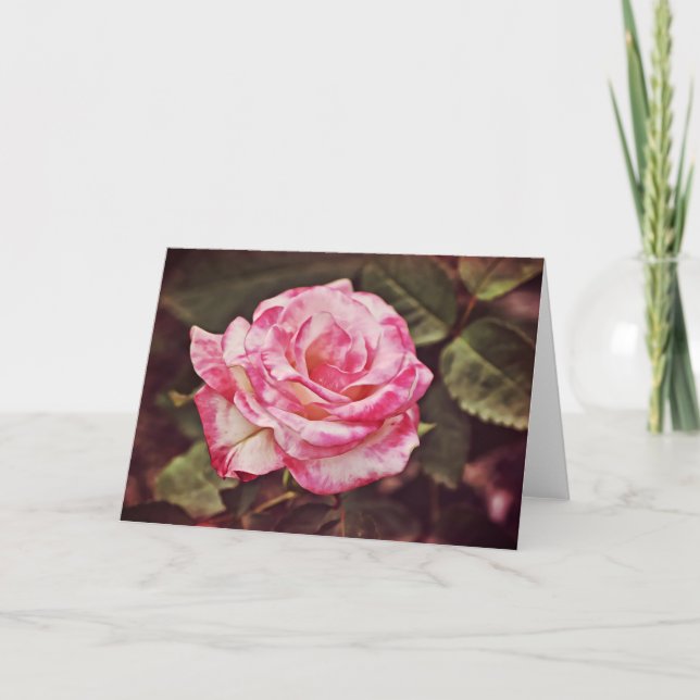 Lindo Cartão de Fé da Rosa Rosa Salmo 102:26 (Frente)