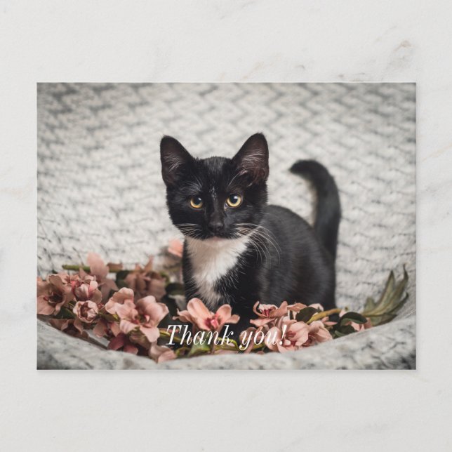 Lindo cartão postal de agradecimento Bella Rose (Frente)