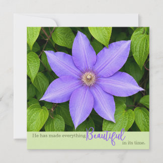 Lindo em Seu Tempo | Clematite Roxa