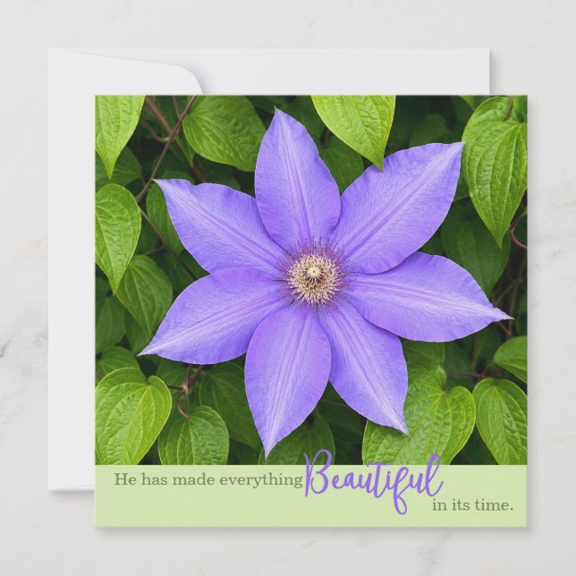 Lindo em Seu Tempo | Clematite Roxa (Frente)