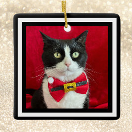 Lindo enfeite de Natal de gato Tuxedo