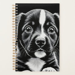 Lindo Filhote Preto e Branco –  Organizador para A