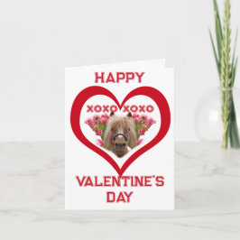 Lindo Pônei em Cartões do Dia dos Namorados para C