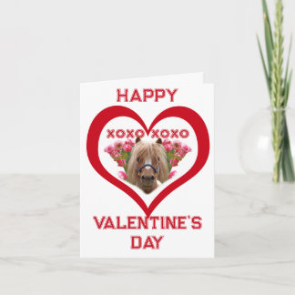 Lindo Pônei em Cartões do Dia dos Namorados para C