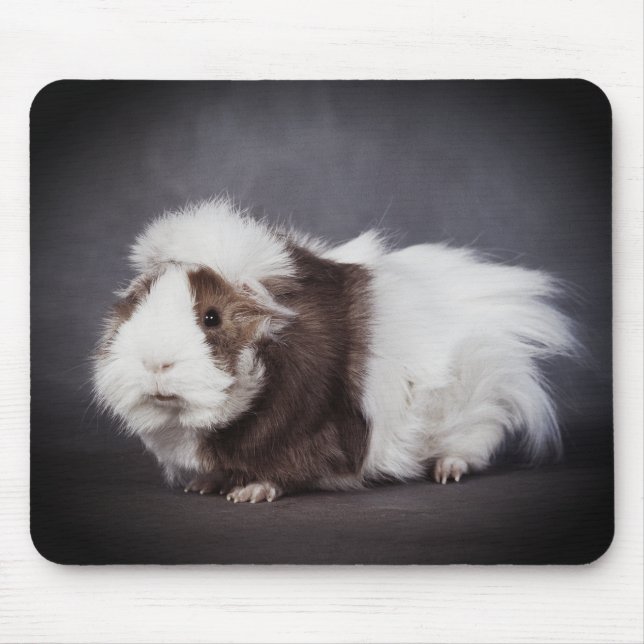 Lindo Rato de Porquinho da Índia, Mouse Pad (Frente)