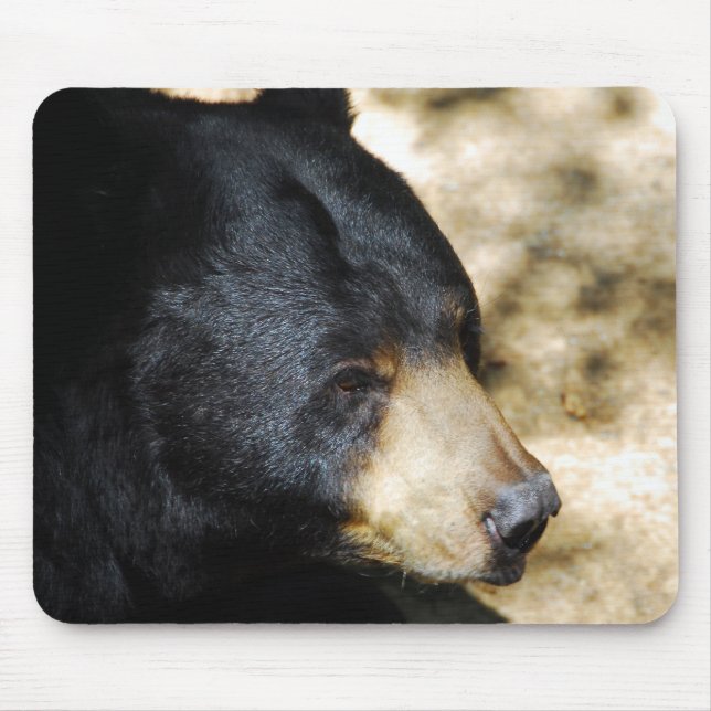 Lindo Rato de Urso Preto de Mouse Pad (Frente)