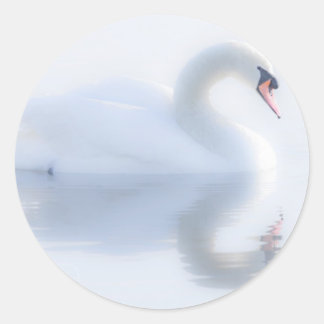 Lindos adesivos Swan