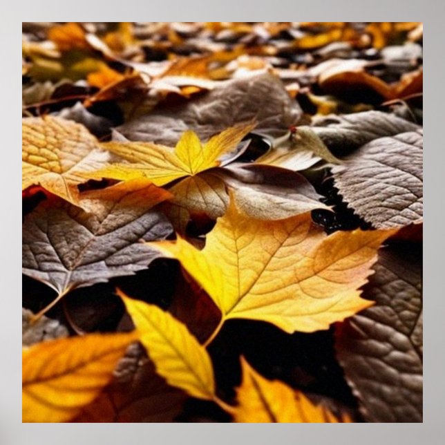 Lindos folhetos de outono no chão poster 4 (Frente)