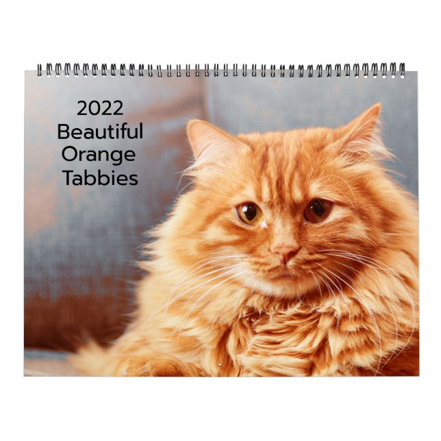 Lindos Gatos Laranja 2022 Calendário (Capa)