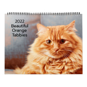 Lindos Gatos Laranja 2022 Calendário