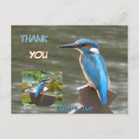 Lindos Martinetes Cust. Obrigado Cartão Postal