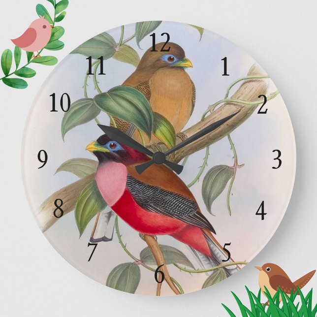 Lindos Relógio de Parede de Acrílico Pássaros do A (A beautiful and colorful vintage birds clock to liven up your space!)