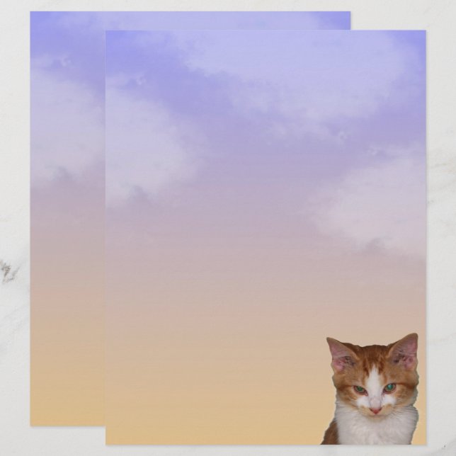 Linguagem de Cat-itude de Reba (Frente/Verso)
