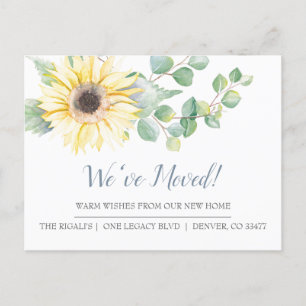 Linguagem Girassol Novo Anúncio de Movimento Lar-S