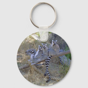 Linha chaveiro do Lemur