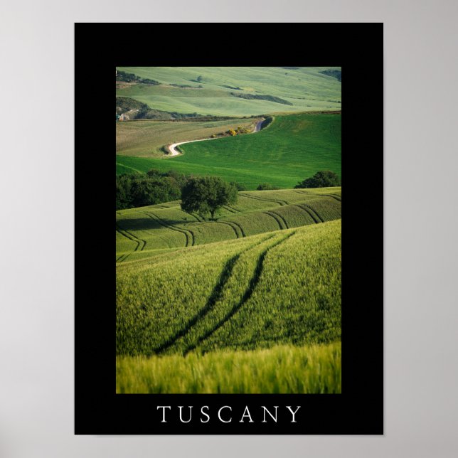 Linhas curvas em poster preto verde da Toscana (Frente)