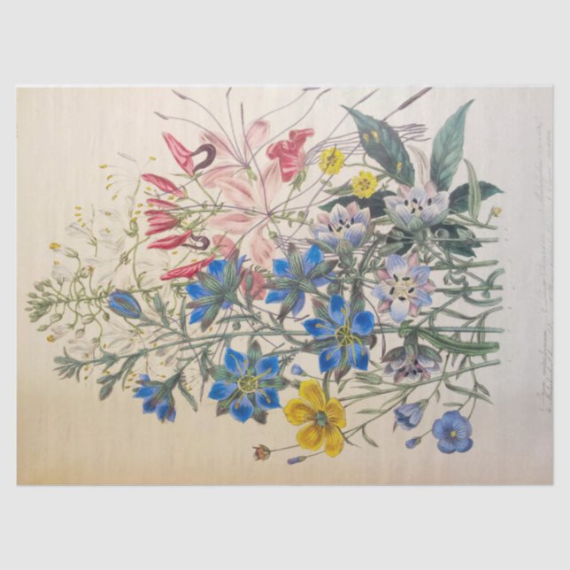 Linho e Papel de Tecido Botânico Limpo (Frente )