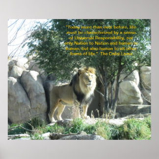 Lion Dalai Lama Cote Poster