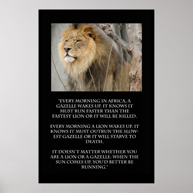 Lion Gazelle Running Quote Poster (Frente)