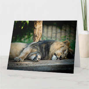 LION NAP FUNNY CARTÃO DE ANIVERSÁRIO