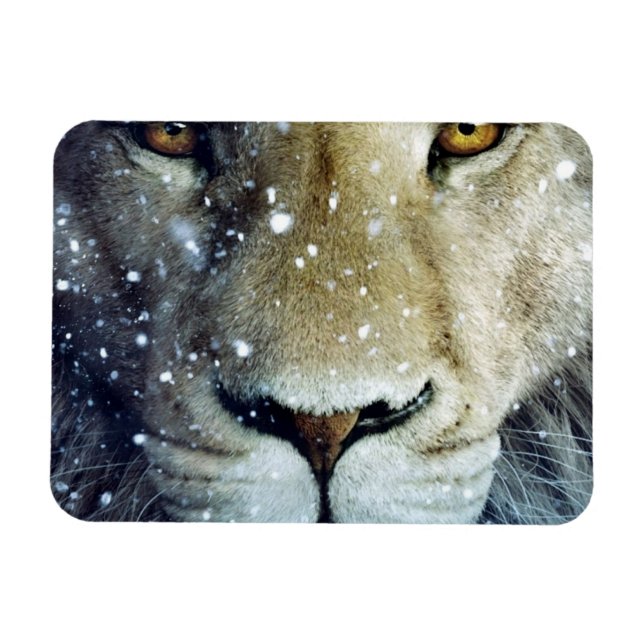 Lion of Judah - Rastafara reggae Rasta íman - (Horizontal)