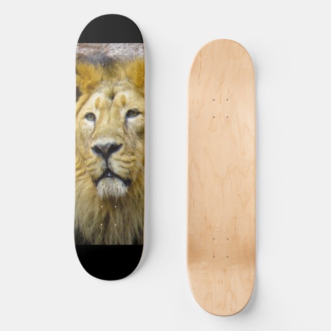 Lion Skateboard (Frente)