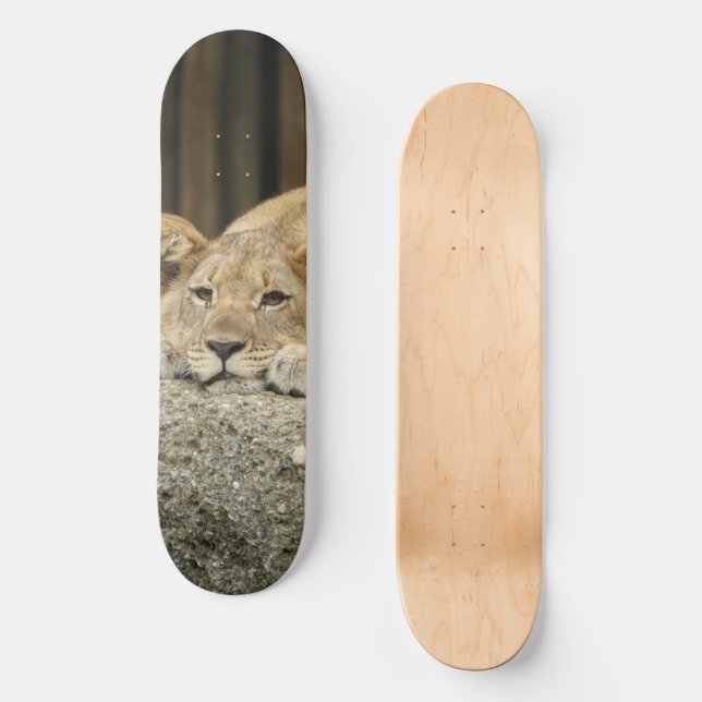 Lion Skateboard (Frente)