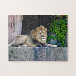 Lion Toy Jigsee Quebra-cabeça