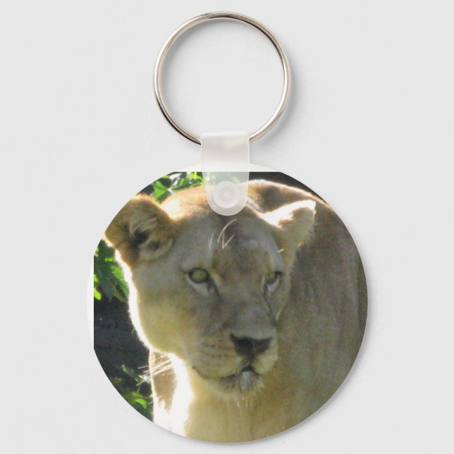 Lioness chaveiro (Frente)