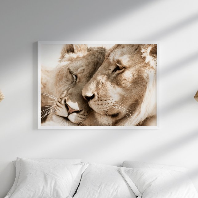 Lions Love Safari Animais Fotografia Poster (Lions Love Safari Animals Photography Poster in a white boho bedroom.)