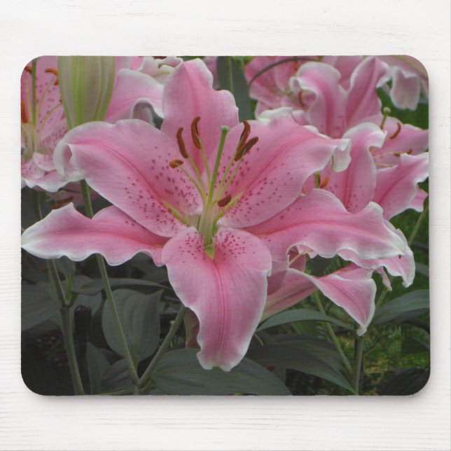 Lírio cor-de-rosa Mousepad (Frente)