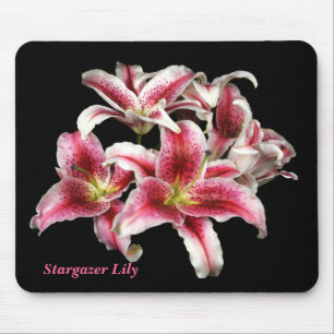 Lírio Mousepad de Sargazer