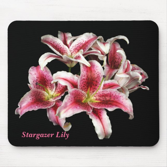 Lírio Mousepad de Sargazer (Frente)