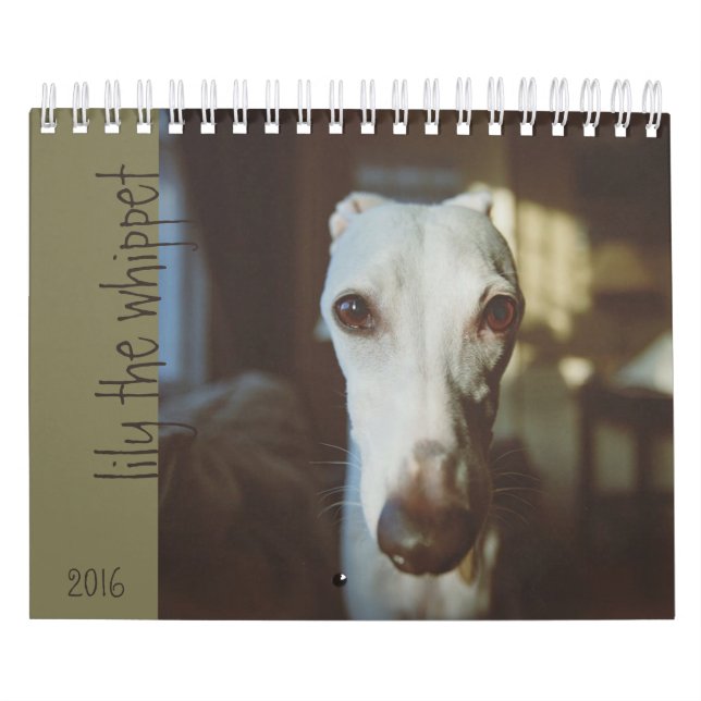 Lírio o calendário 2016 de Whippet (Capa)