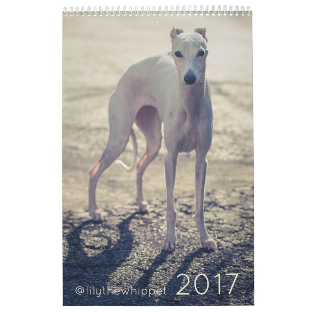 Lírio o calendário de Whippet 2017 (Capa)