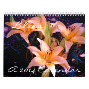 Lírios - calendário 2014