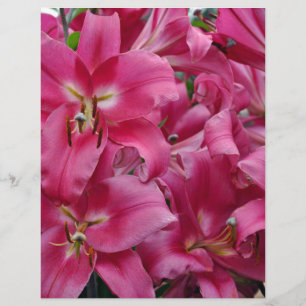 Lírios cor-de-rosa