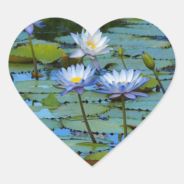 Lírios de água azul com autocolante (Frente)