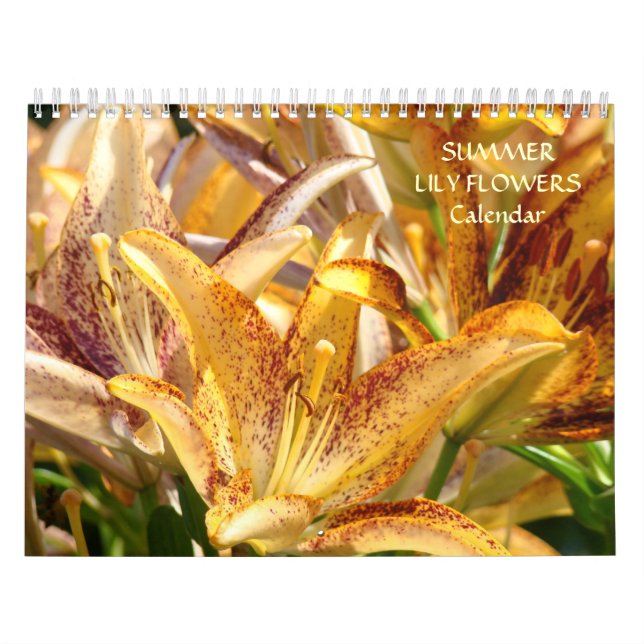 LÍRIOS DE CALENDÁRIO Flores de LÍRIO de Verão (Capa)