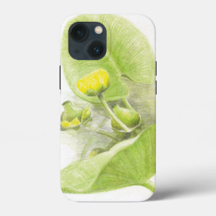 Lírios de flores