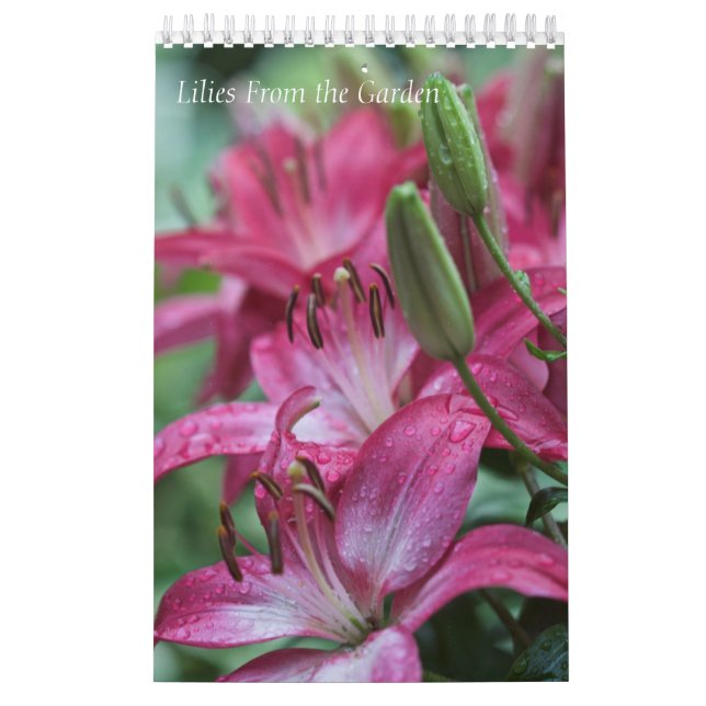 Lírios do Calendário do Jardim (Capa)