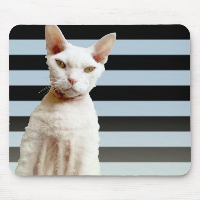 Listra azul/preta Mousepad do gato de Rex (Frente)