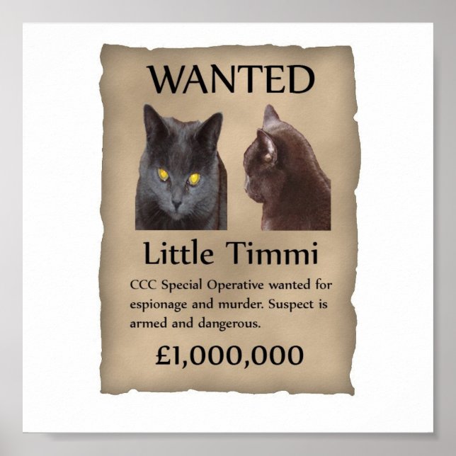 Little Timmi queria poster (Frente)