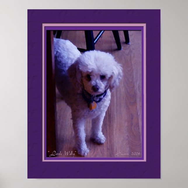 Little Willy Poster (Frente)