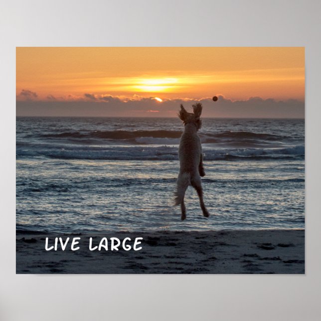"Live Large" Beach Sunset Poster (14" x 11") (Frente)