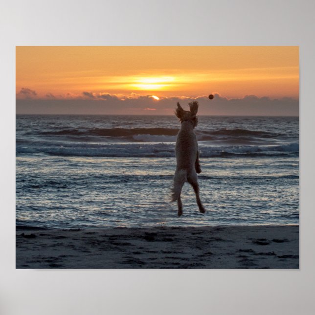 "Live Large" Beach Sunset Poster (14" x 11") (Frente)