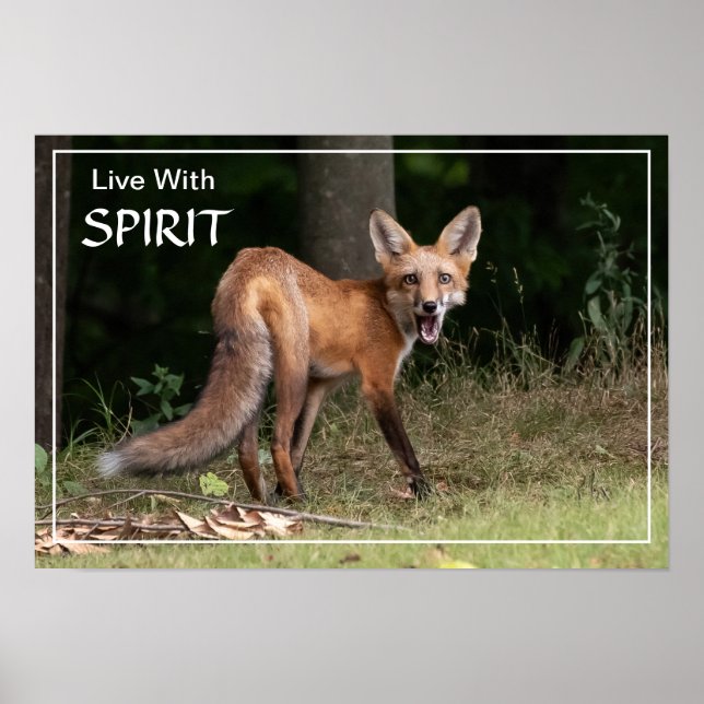 Live with Spirit Poster (Frente)