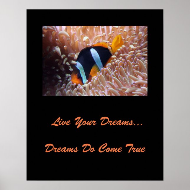 Live Your Dreams Poster (Frente)