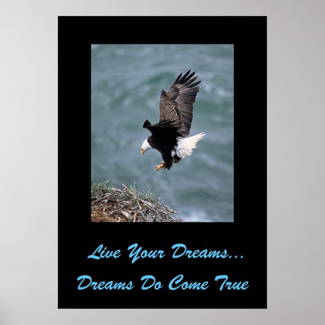 Live Your Dreams Poster (Frente)